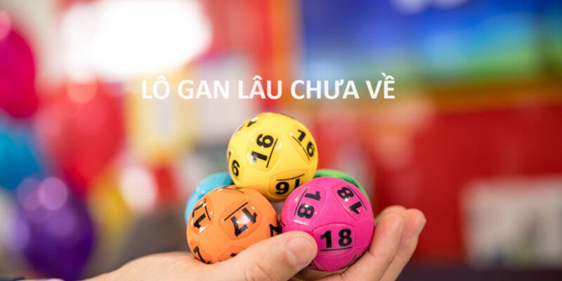 kinh-nghiem-nuoi-lo-thuc-tien